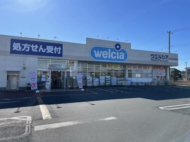ウェルシアひたちなか馬渡向野店 (600m)