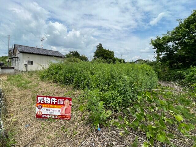現地土地