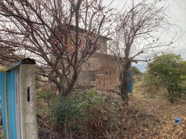 detached 茨城県坂東市猫実新田