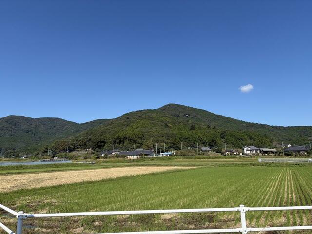 撮影日2026-10-08