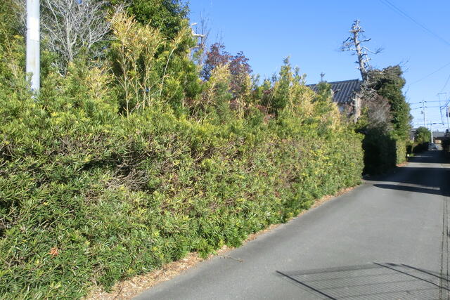 detached 茨城県取手市押切 地図を見る