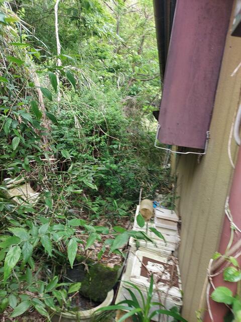 detached 茨城県小美玉市下玉里
