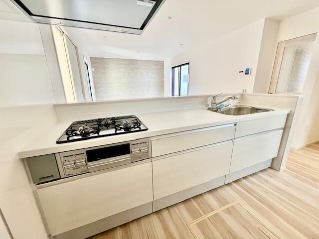 detached 茨城県守谷市松ケ丘２丁目