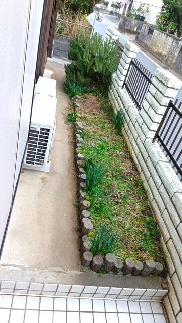 庭／ガーデニングスペース