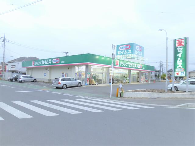 ドラッグセイムス　乙女店 (540m)