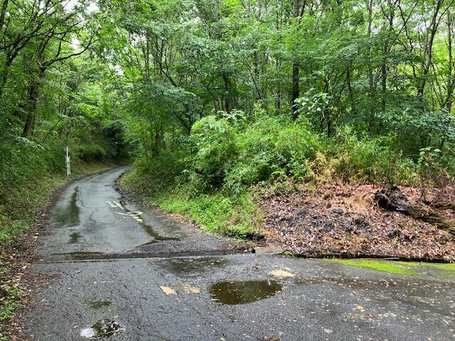 本バド セドリックパトカー スーパーバイブル | ベストカー |本 | 通販 | Amazon