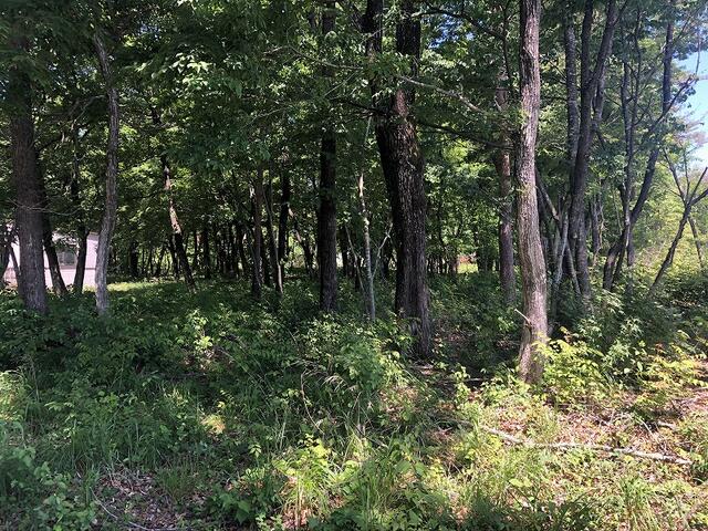 【ハトマークサイト】栃木県那須塩原市横林の 売地