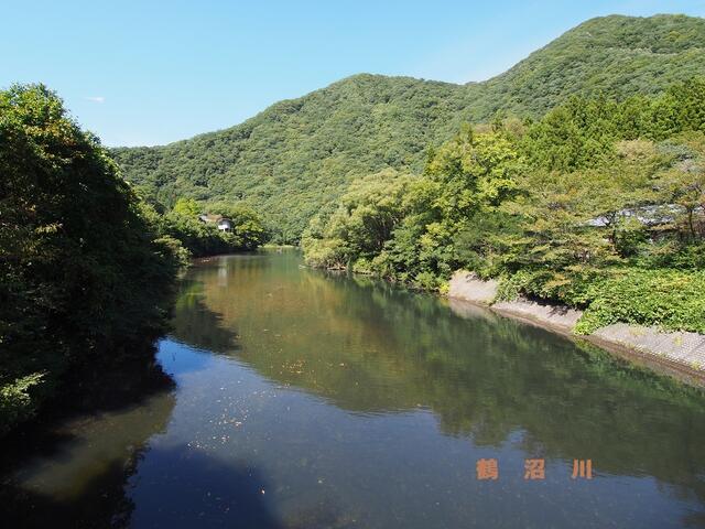 近くの鶴沼川