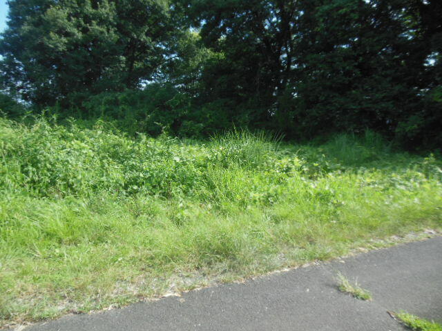 ハトマークサイト】栃木県大田原市の売地の検索結果