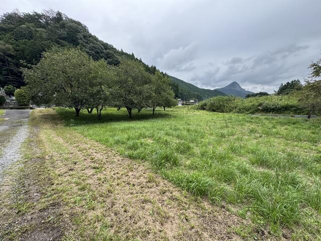 detached 栃木県佐野市秋山町