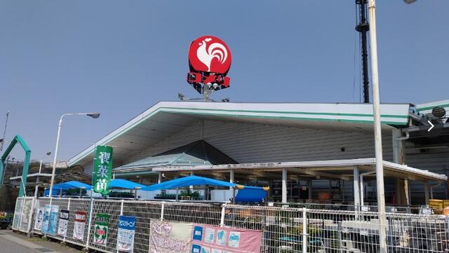 コメリ昭和村店 (4,780m)