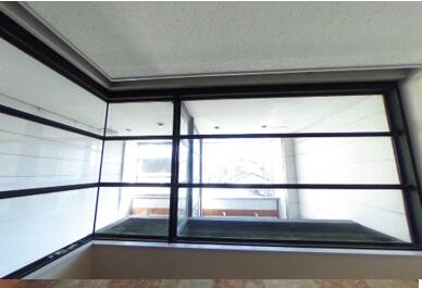 現地からの眺望／店舗東側採光部分になります。明るい光が注ぎます。／撮影日2024-11-12