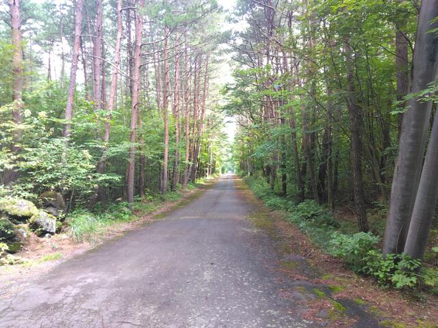 detached 群馬県吾妻郡嬬恋村大字鎌原 地図を見る