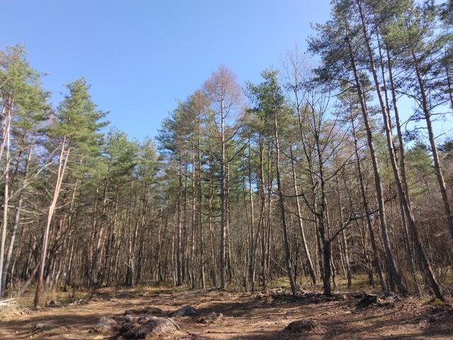 detached 群馬県吾妻郡嬬恋村大字鎌原 地図を見る