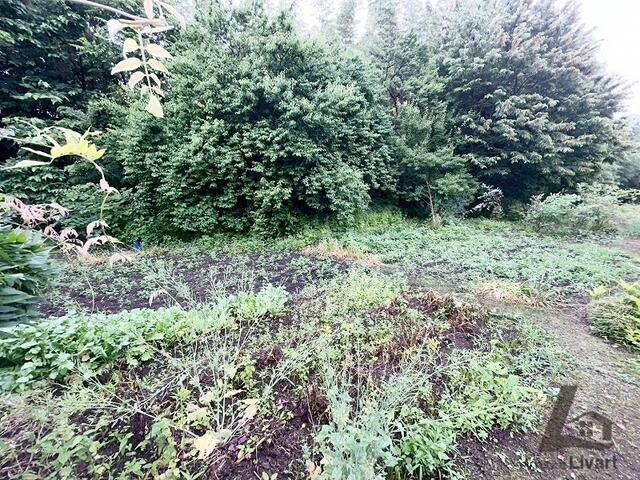 detached 群馬県安中市松井田町二軒在家 地図を見る