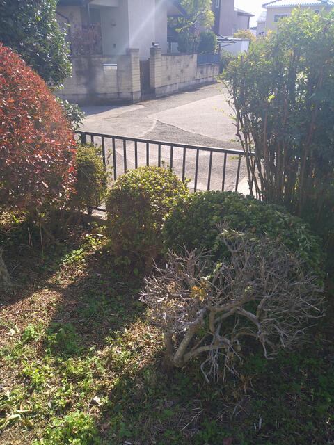 detached 群馬県太田市飯塚町