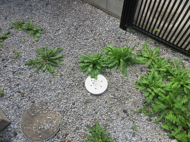detached 群馬県邑楽郡邑楽町大字中野