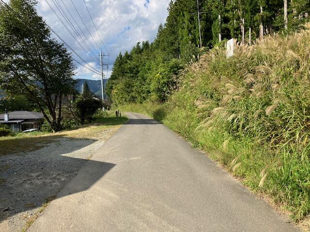 接道