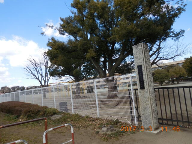 藤岡市立藤岡第一小学校 (551m)
