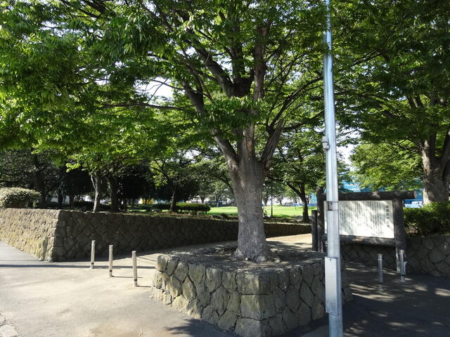太田中央公園 (512m)