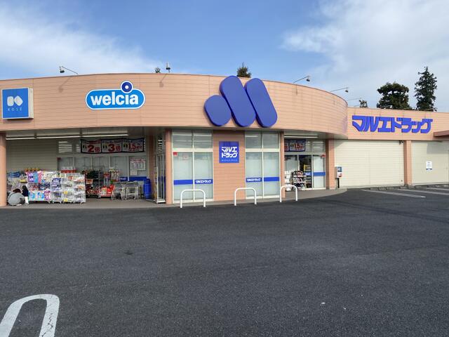 マルエドラッグ安中杉並木店 (197m)