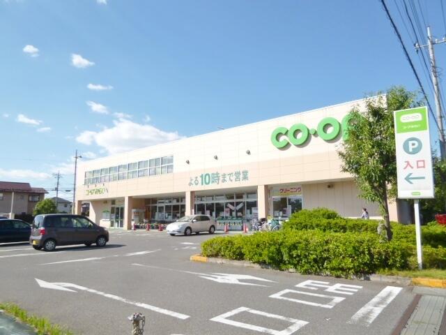コープ東岩槻店 (1,000m)