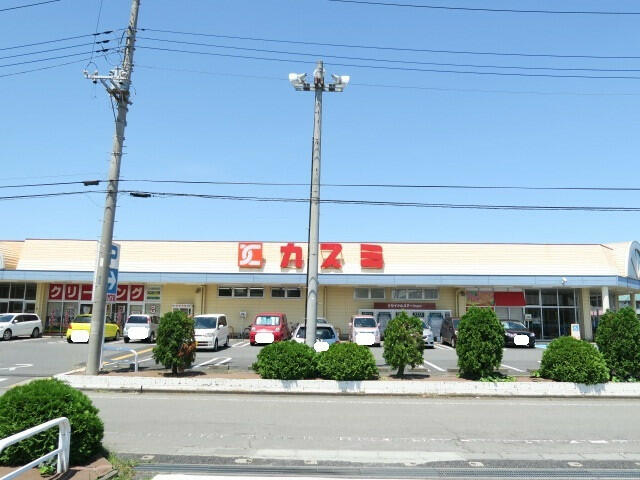 カスミ花崎店 (500m)
