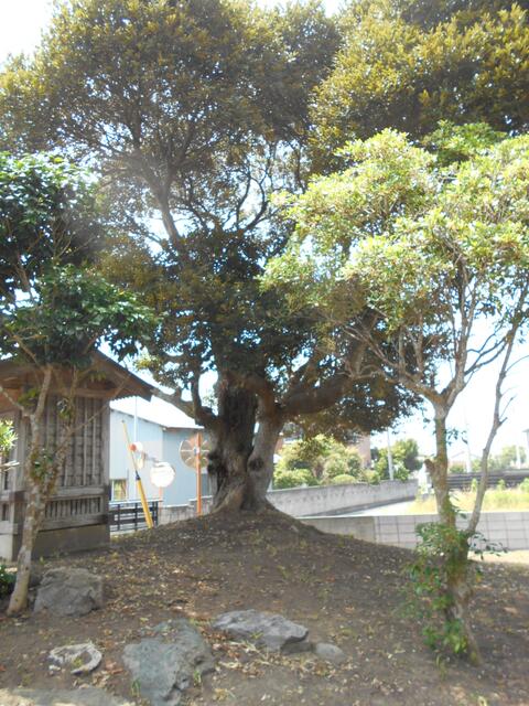 detached 千葉県長生郡白子町浜宿 地図を見る