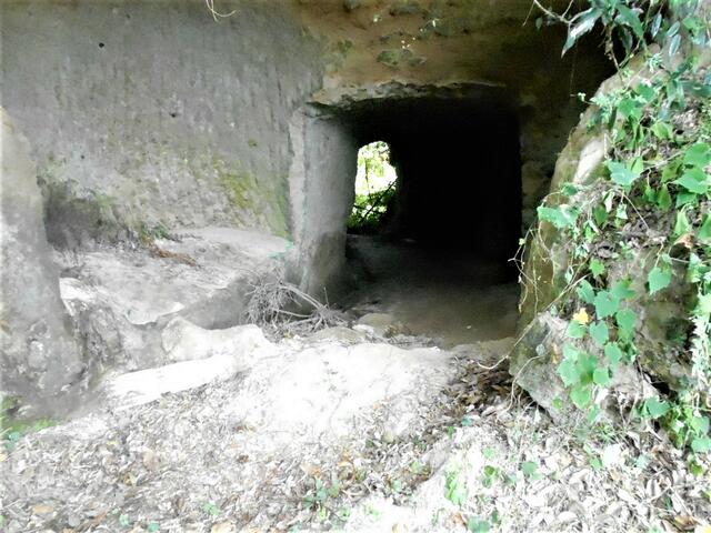 detached 千葉県茂原市下太田