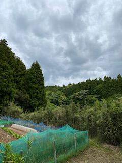 detached 千葉県君津市坂畑