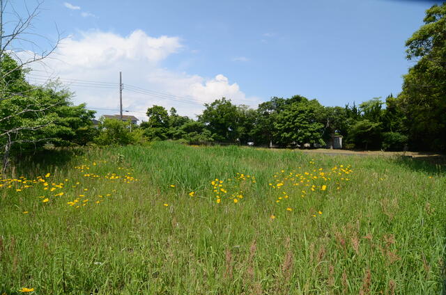 detached 千葉県長生郡白子町北日当 地図を見る