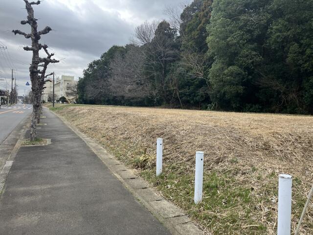 現地土地