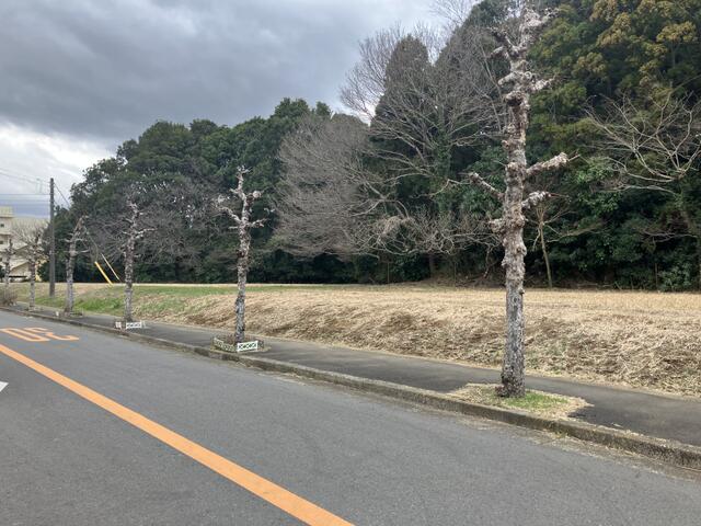 現地土地