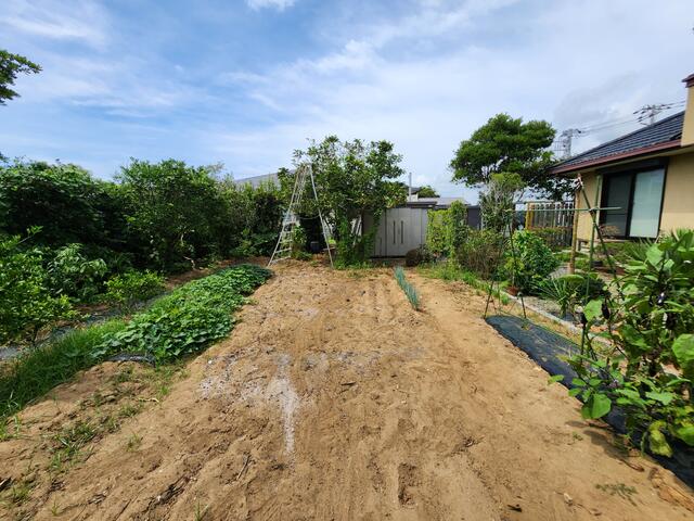 detached 千葉県匝瑳市川辺