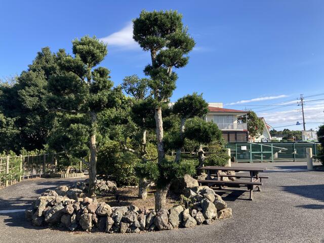 detached 千葉県長生郡睦沢町上市場