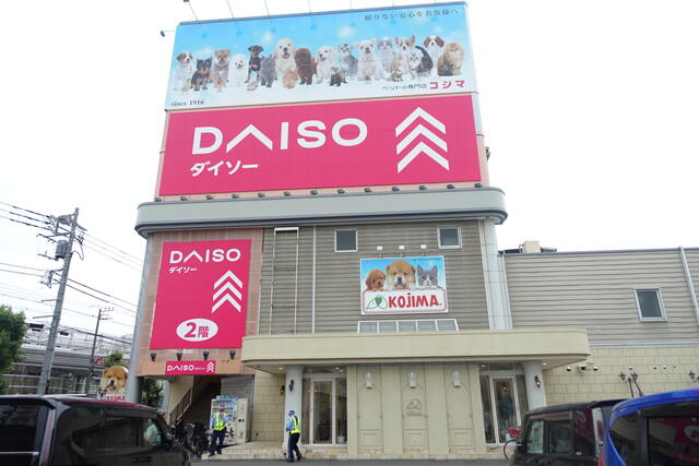 ダイソー花小金井店 (235m)