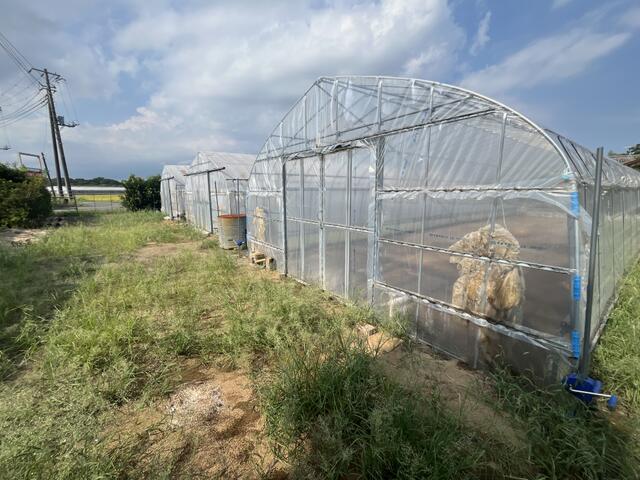 detached 千葉県山武郡横芝光町谷中 地図を見る