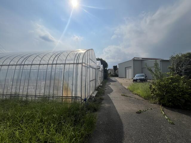 detached 千葉県山武郡横芝光町谷中 地図を見る