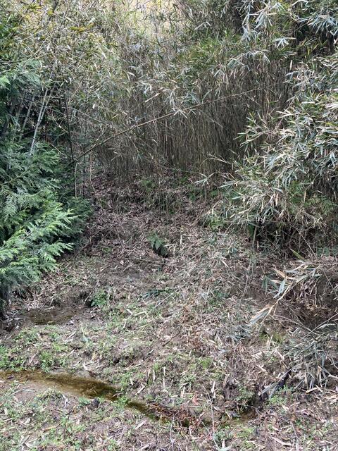 detached 千葉県南房総市海老敷