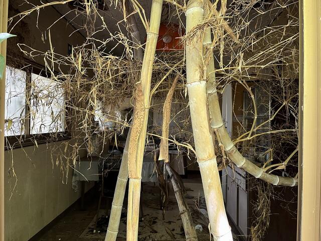 detached 千葉県館山市大神宮 地図を見る