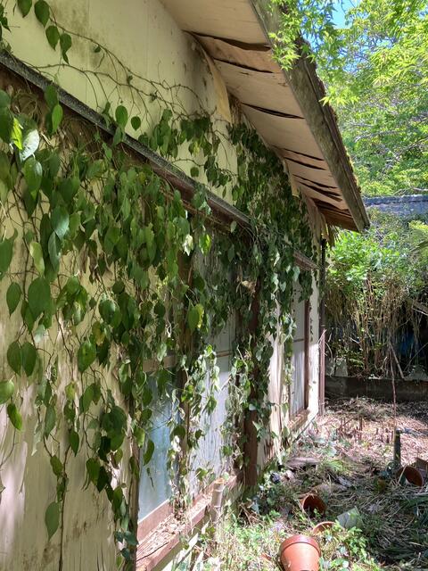 detached 千葉県館山市大神宮 地図を見る
