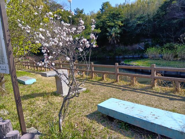 detached 千葉県銚子市前宿町 地図を見る