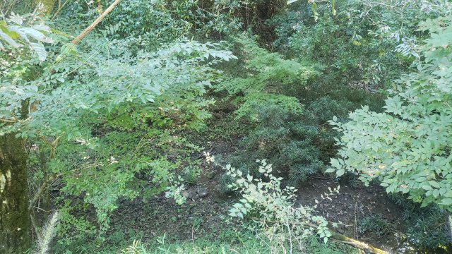 detached 千葉県夷隅郡大多喜町田代 地図を見る