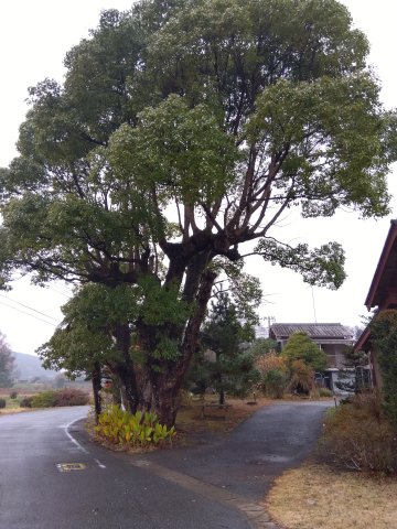 detached 千葉県いすみ市高谷 地図を見る