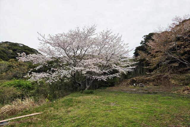 detached 千葉県南房総市千倉町大貫