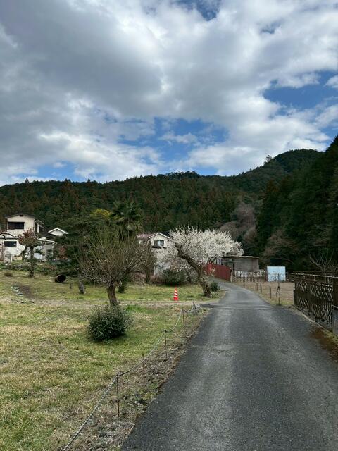 detached 埼玉県飯能市大字赤沢 地図を見る