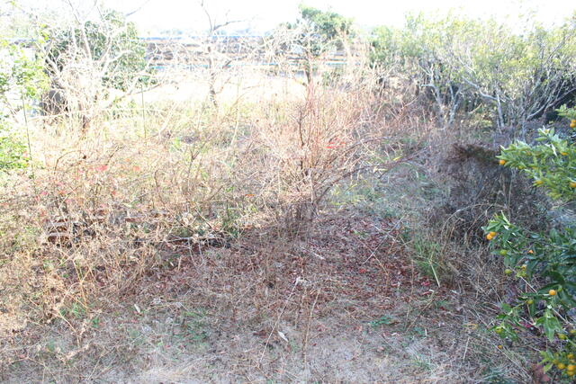 detached 千葉県大網白里市柳橋