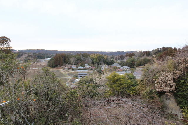 detached 千葉県大網白里市金谷郷