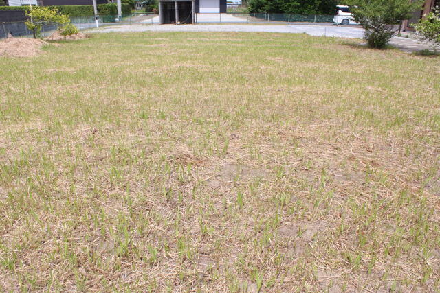 detached 千葉県長生郡白子町浜宿