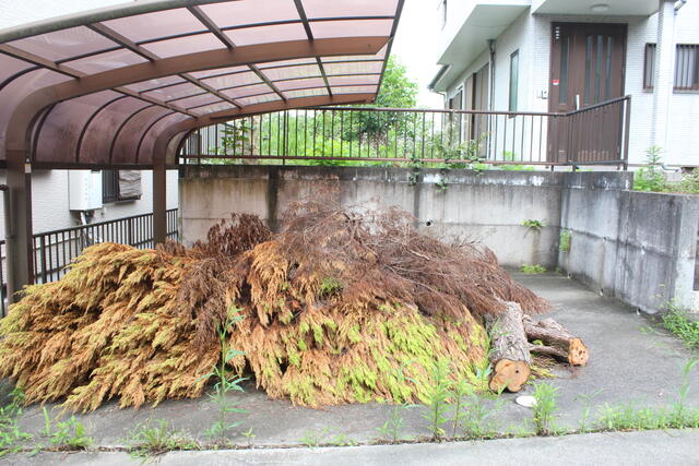 detached 千葉県大網白里市駒込
